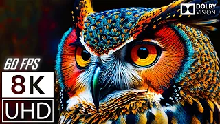 12K HDR 60FPS DOLBY VISION - COLORFUL WORLD - ANIMALS SOUNDS