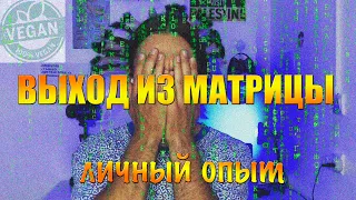 КАК Я ВЫШЕЛ ИЗ МАТРИЦЫ! ПРОЗРЕНИЕ! ЖИЗНЬ БЕЗ НАСИЛИЯ!