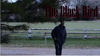 The Black Bird, a short horror film