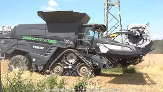 Fendt - Claas / Getreideernte - Grain Harvest  2021