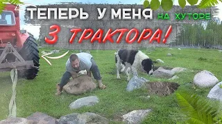 КУРИНЫЙ ТРАКТОР ЗАСЕЛЕН. КОРЧУЕМ ВАЛУНЫ Т-40 И Я.