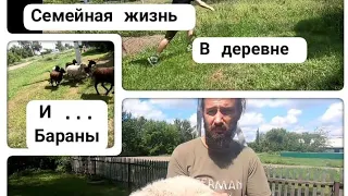 вернулись на родину | семейная жизнь в деревне | 🐑переселенцы Бараны