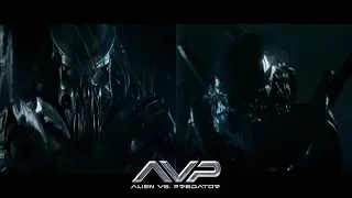 Alien vs. Predator - Yautja vs Xenomorph [HD]