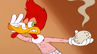 Woody Woodpecker Show | Chicken Woody | Full Episode | Videos For Kids