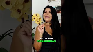 O SEGREDO DAS PESSOAS! | Iara Nárdia