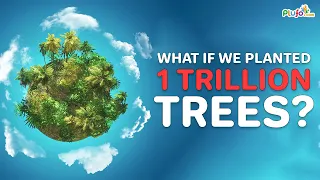 What if we planted 1 trillion trees | How can we change the climate | #plufo #environment #trees