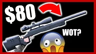 CHEAP Sniper destroys EVERYONE!