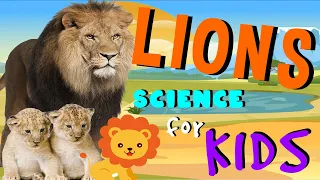 Lions | Science for Kids