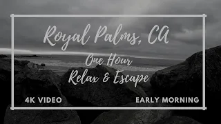 4K 1 Hour Pacific Ocean Wave Sounds, Royal Palms, CA - Early Morning Nature - WFH calming sounds