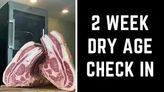 A Guide To Dry Aging: Rib Roast Experiment #shorts