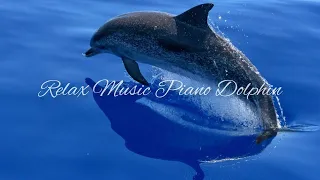 Relax Music Piano Dolphin