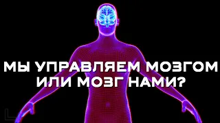 Мы управляем мозгом или мозг управляет нами?