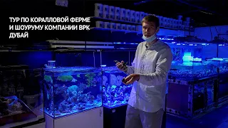 Дубай  Экскурсия по коралловой ферме и шоу руму BPK