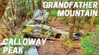 Calloway Peak Hike via Daniel Boone Scout Trail - Grandfather Mountain, NC - Hike Vlog 2
