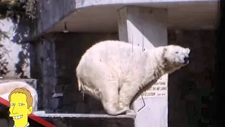 STANLEY PARK ZOO: Abandoned Polar Bear Enclosures