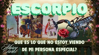 🌸Escorpio♏️QUE DEBO SABER HOY DE MI PERSONA ESPECIAL?🤔QUE ES LO QUE NO ESTOY VIENDO?👀 #escorpio