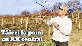 Tăieri la pomi cu ax central