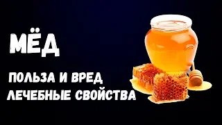 Мёд. Польза и Вред. Лечебные Свойства.