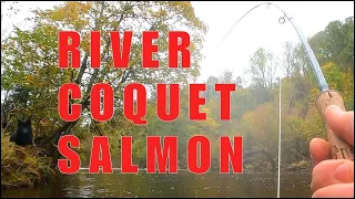 Autumn Gold:  Salmon Fishing the River Coquet