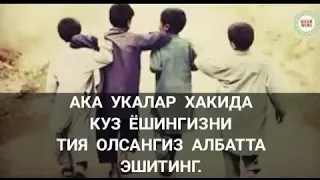 Ака укалар хакида куз ёшингизни тия олсангиз албатта эшитинг.