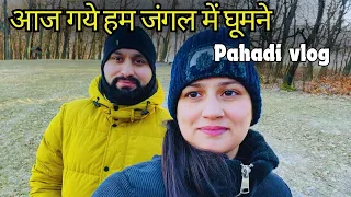 Pahadi Travel Vlog || Bk Painuly Lifestyle Vlog