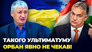 😱Після ЦИХ СЛІВ Орбан ЗАМОВЧАВ! угорський міністр ПРОГОВОРИВСЯ, угорці в Україні незадоволені| ТОМПА