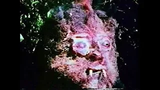 Curse of Bigfoot (1976)