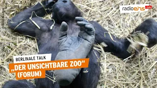 Der unsichtbare Zoo | Berlinale Talk 2024