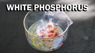 All about White Phosphorus | Element Series