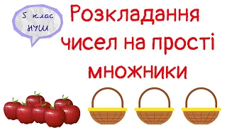 Розкладання чисел на прості множники. Математика 5 клас. НУШ.#математика #5клас #нуш