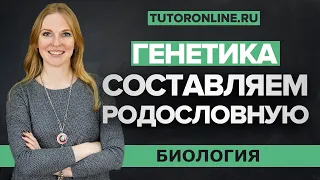 Генетика: метод родословных | Биология