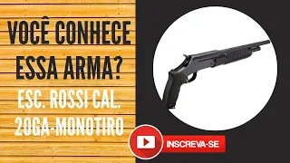 VOCÊ CONHECE ESSA ARMA? CONHEÇA AQUI O ICÔNICO PISTOLÃO (ESCOPETA) DA ROSSI.