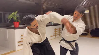 Aikido and technical principles