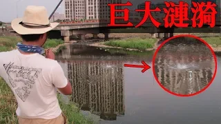 本以為只是惡臭至極的溪流，釣竿竟「差點被魚拖下水」！？