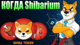 Ведущий Разработчик Shiba Inu Сделал Заявление - Сжигания 200 Миллионов SHIB