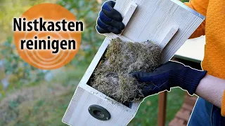 Nistkasten reinigen: Das alte Nest entsorgen | dobarsmart