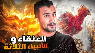 طائر كبير الحجم يتحدى النبي سليمان !! | يمان History