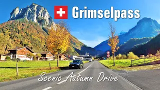 Grimselpass Switzerland 🇨🇭 Scenic Autumn Drive 🍂 [4K]