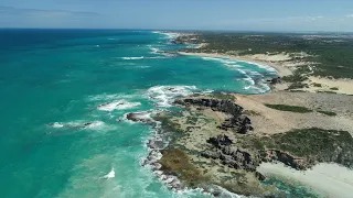 Story of the Great Southern Reef, Australia's underwater forests.