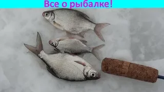 р.Ока. Густера. Бывает и так!!!