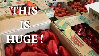 MASSIVE WINTER SHOPPING 2022 | BULK FOOD MARKET HAUL | SMALL CITY LIFE | Regina SK | FUNKESUYI