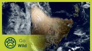 Tasmania - Paradise at the End of the World - Go Wild