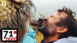 71° nord kjendis | Jon Almaas får et tungekyss av en ulv! | discovery+ Norge