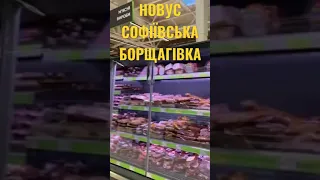 НОВУС СОФІЇВСЬКА БОРЩАГІВКА #shorts