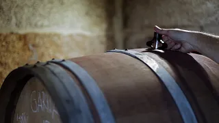 The awakening of wine in Galicia: the return to terroir