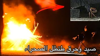 صيد الطنطل الملقب بابو حجار وحرقه في داخل القفص…