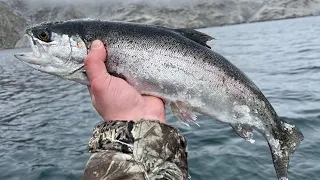 Washington State Winter Trout Fishing on Lake Roosevelt