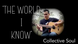 The World I Know Collective Soul Cover by Adrian Ghostfly