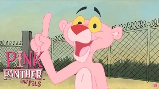 Pink Thumb | Pink Panther and Pals