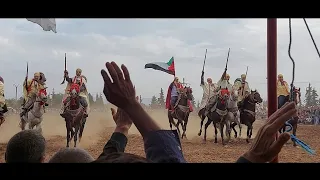 وعدة تريبان مغنية  دخول بعلم فلسطين روعة  14/10/2023 🥰🇩🇿